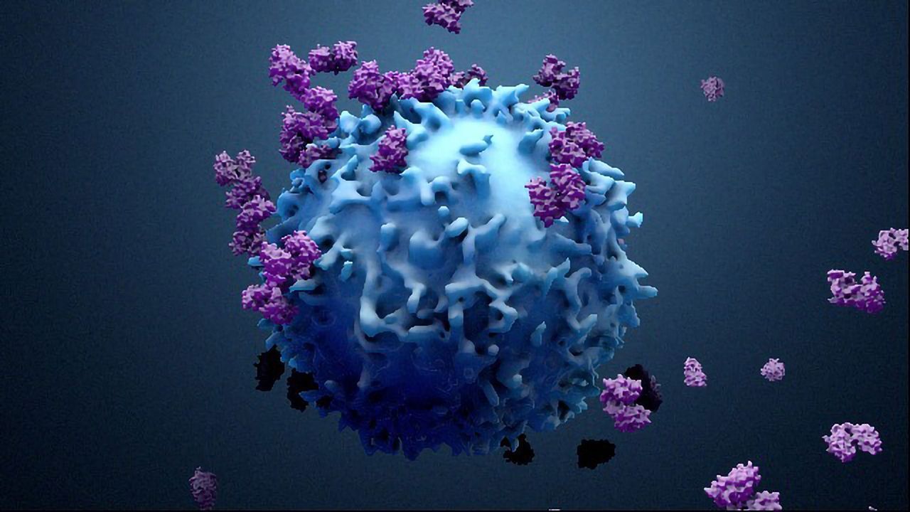 Critical Molecular Mechanism Behind Autoimmune and Inflammatory Diseases Revealed
