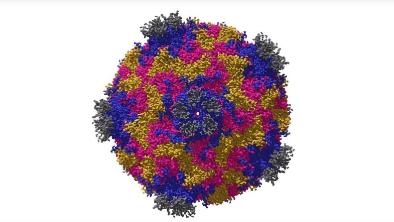 Virology Lectures 2020 #1: What Is a Virus?