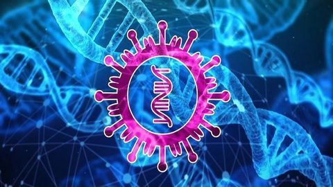 Scientists "Firmly Determine" That SARS-CoV-2 Was Not Engineered
