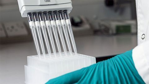 Protein Precipitation Plates for Effective Sample Preparation