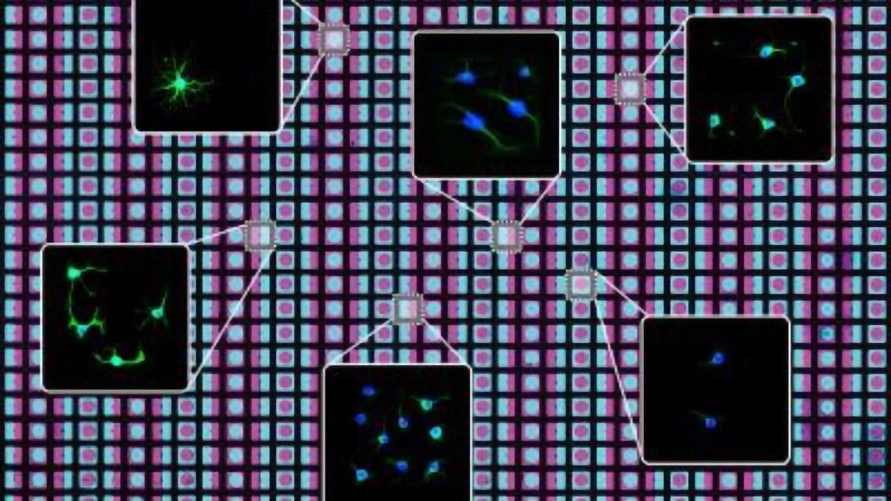 New Technique "Prints" Cells To Create Diverse Biological Environments