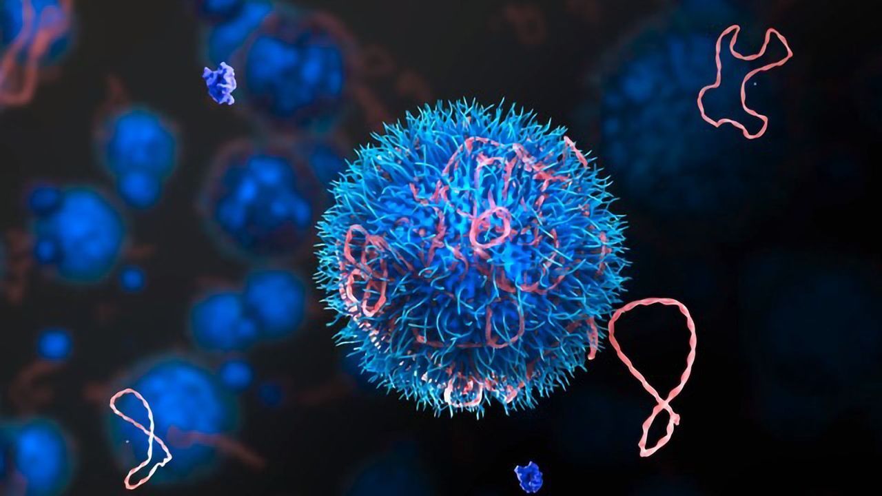 A New System for DNA/RNA Delivery in Cancer Therapeutics