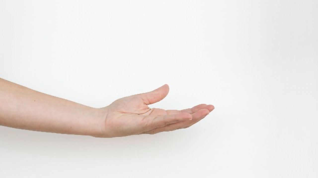 Ancient Fish Fossil Reveals How the Human Hand Evolved From Fins