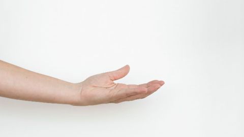 Ancient Fish Fossil Reveals How the Human Hand Evolved From Fins