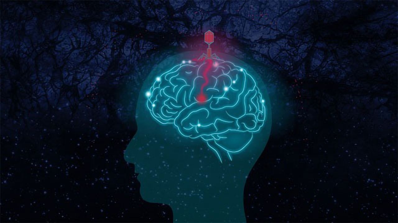 Do Infectious Organisms Play a Role in Alzheimer's?