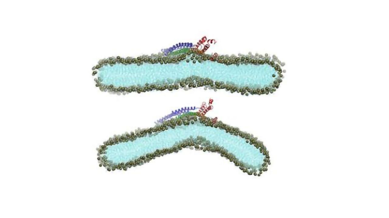 Supercomputers Figure Out How Viruses Attack Cell Membranes