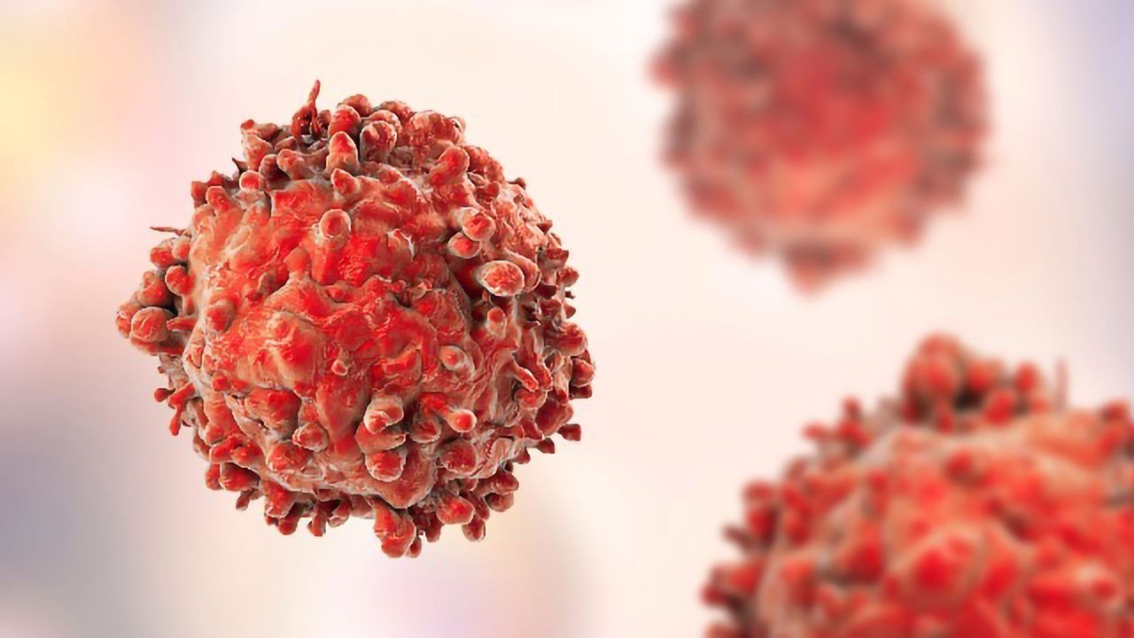 How To Culture Cells for Cancer Research