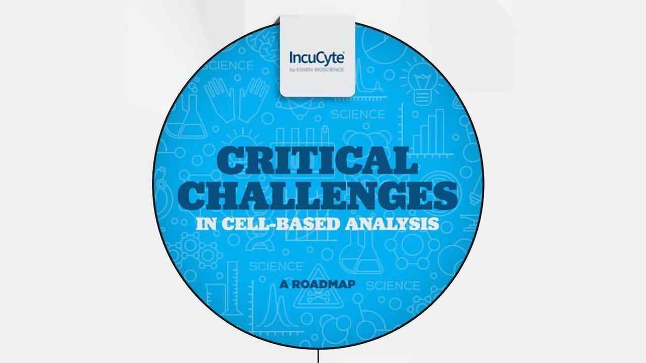 Critical Challenges in Cell-based Analysis
