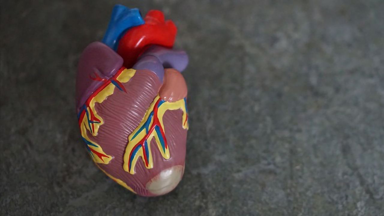 Statins Could Help Reduce Risk of Cancer Treatment-related Heart Damage