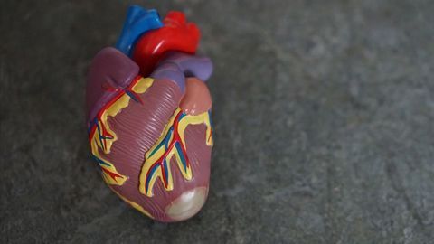 Statins Could Help Reduce Risk of Cancer Treatment-related Heart Damage
