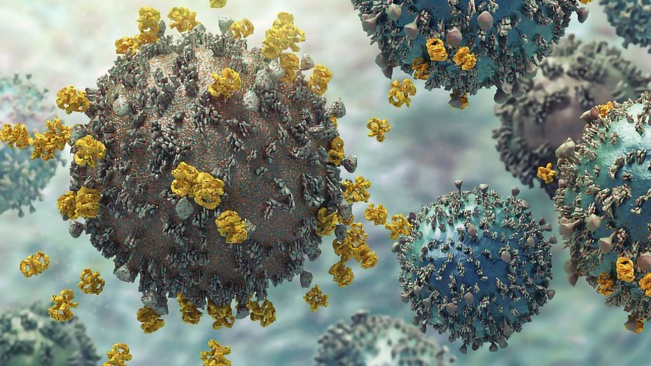 Beating Viruses At Their Own Game