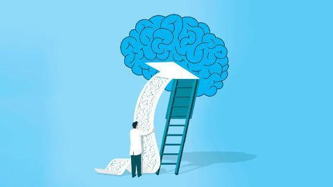 The Key to Keeping Working Memory Working