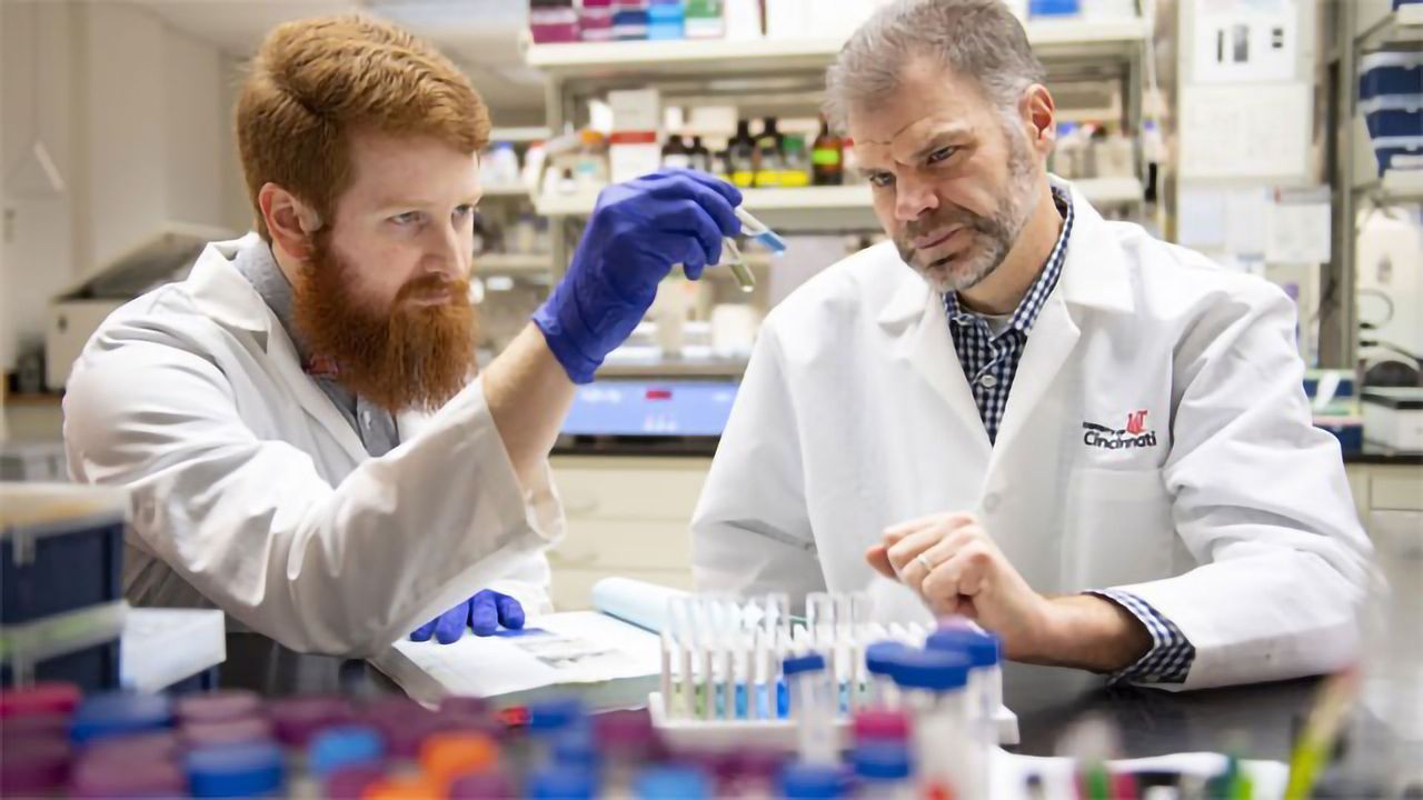 Fat Busting Proteins Produced in the Laboratory