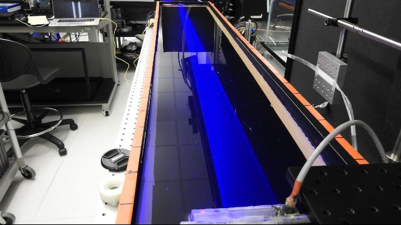 Moving the Internet of Things Underwater
