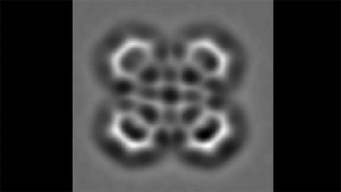 Automated Microscopy Tool Is World First
