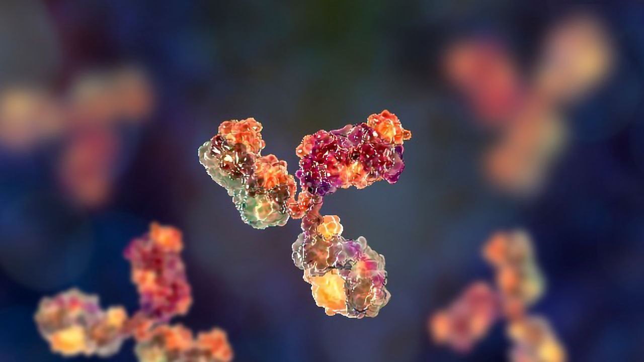 Antibody To Treat Lung Inflammation May Offer Potential in COVID-19