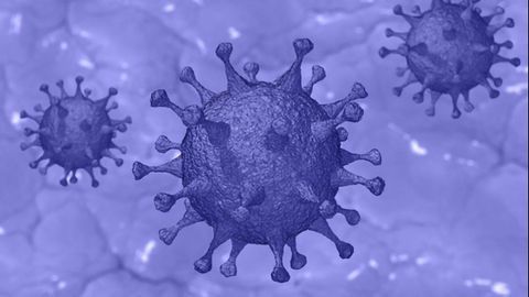 Coronavirus – Only Mission-critical Functions Within NIH Labs Will Be Supported To Reduce Risk of Transmission