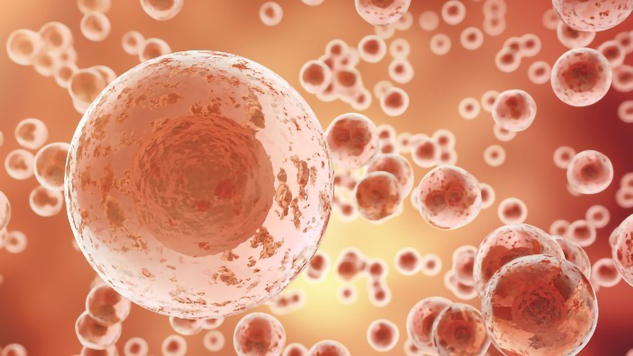 First Supercentenarian-derived Stem Cells Created