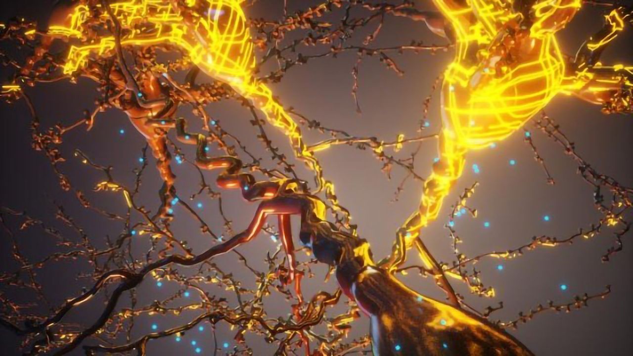 Method Genetically Reprograms Cells To Build Artificial Structures