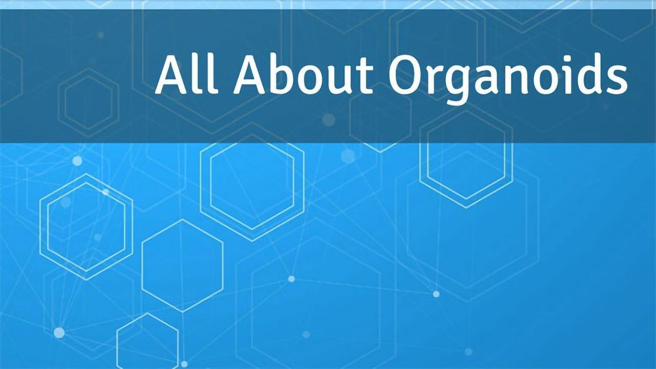 All About Organoids