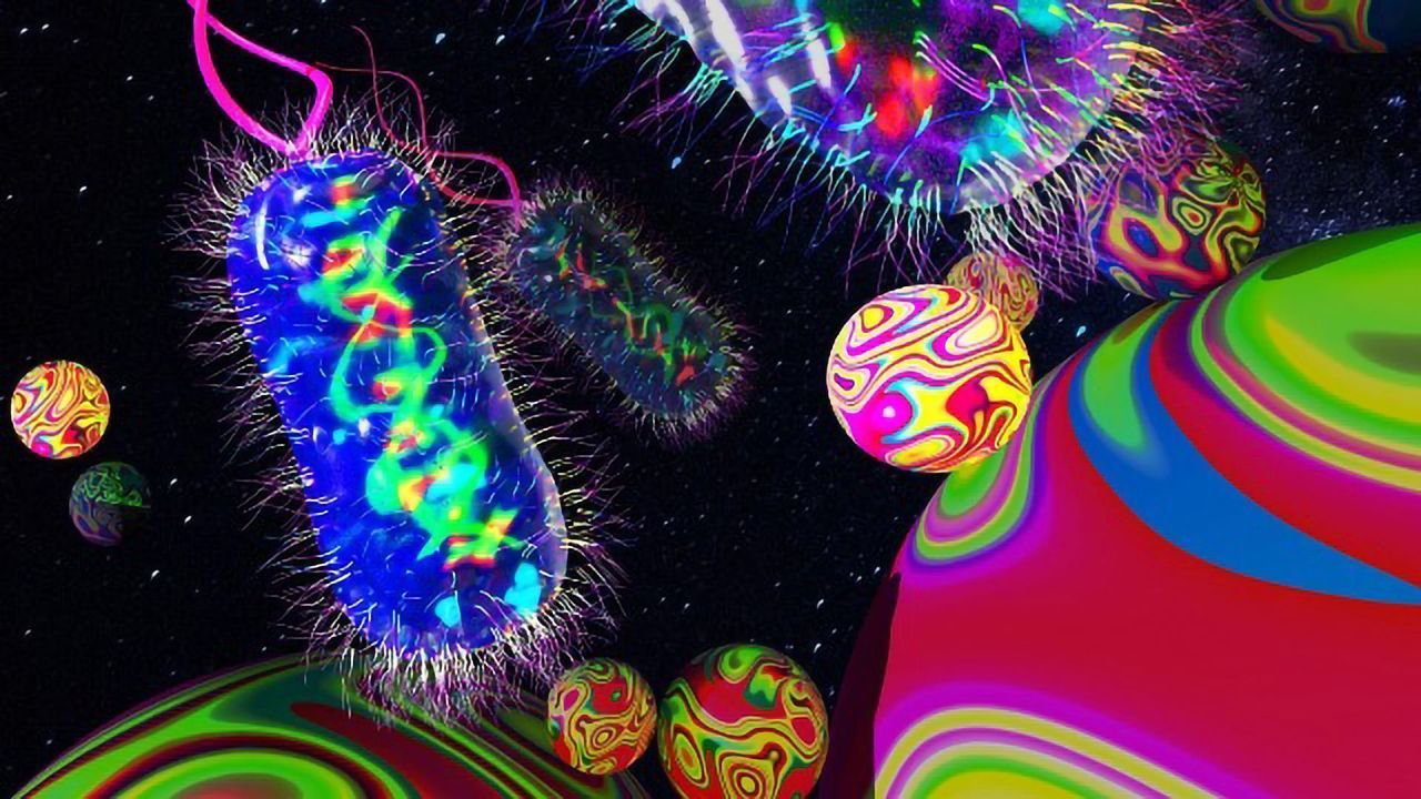 New Device Quickly Detects Harmful Bacteria in Blood