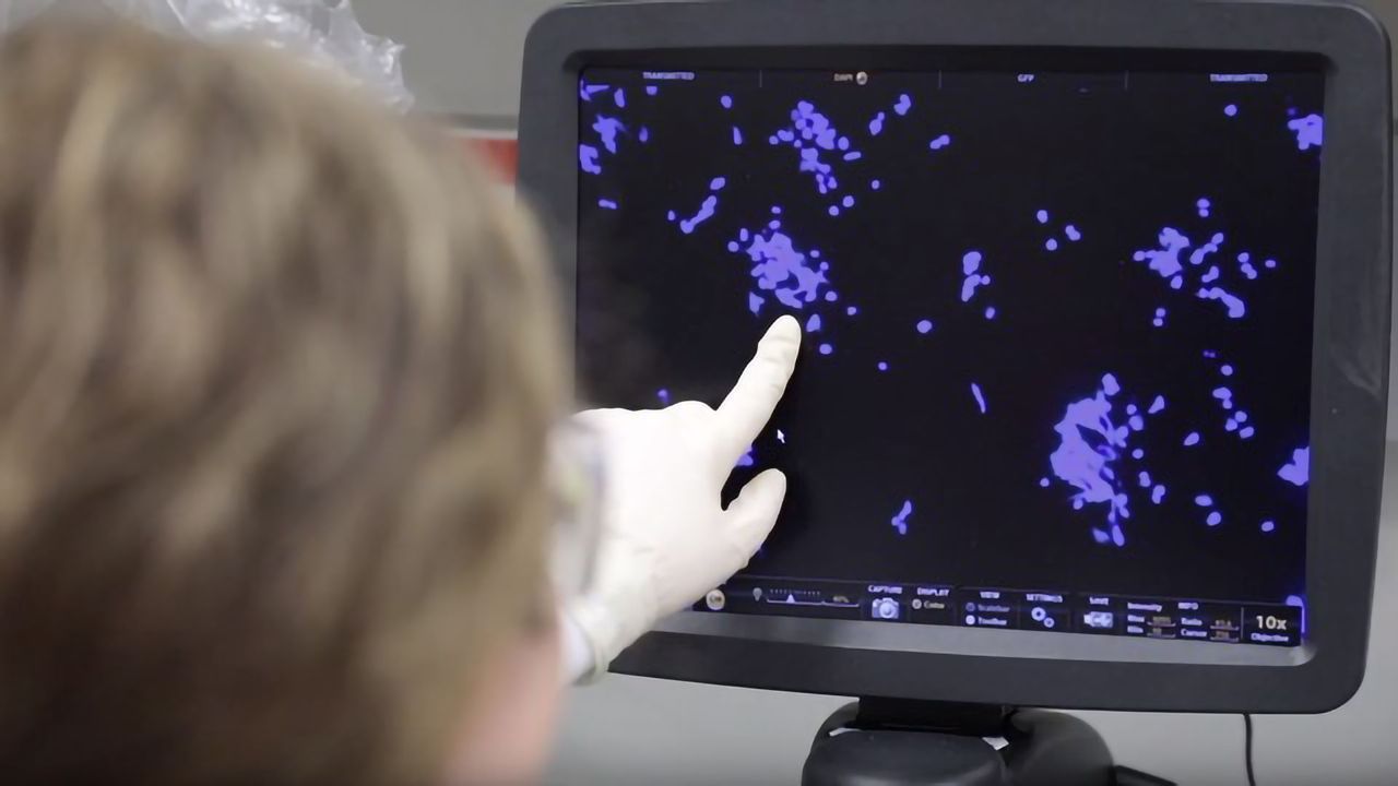 How Scientists Are Confronting Coronavirus: Scripps Research COVID-19 Updates