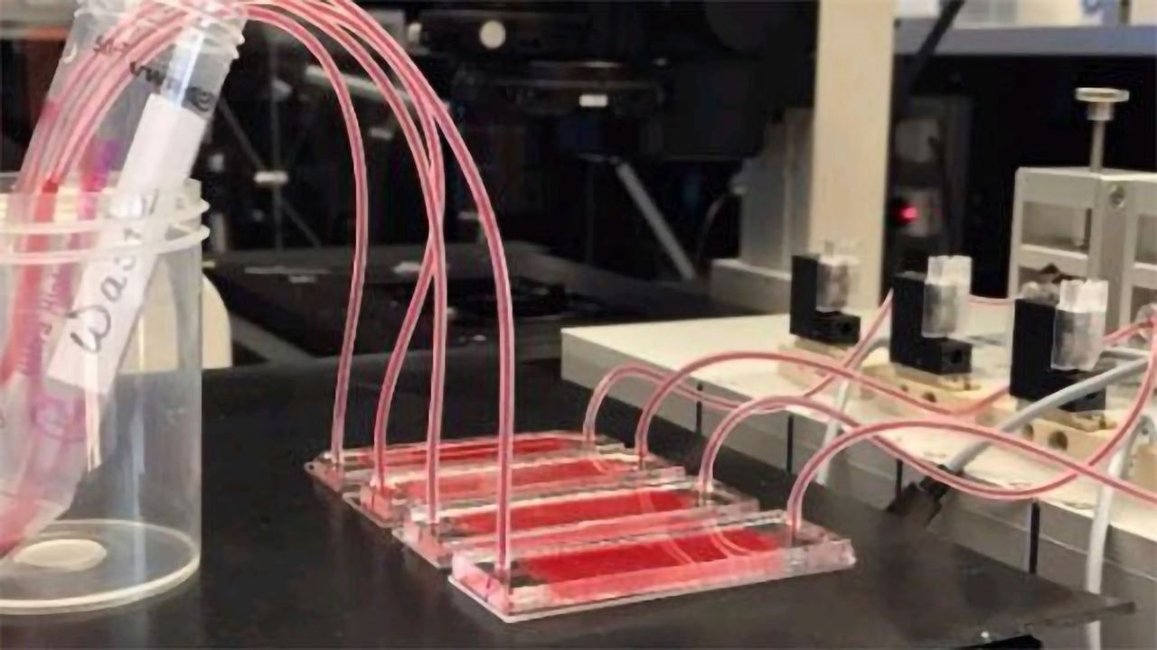 New Cancer Liquid Biopsy Tool Developed