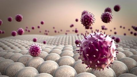 CAR Macrophages – An Alternative to CAR T-cell Therapy?