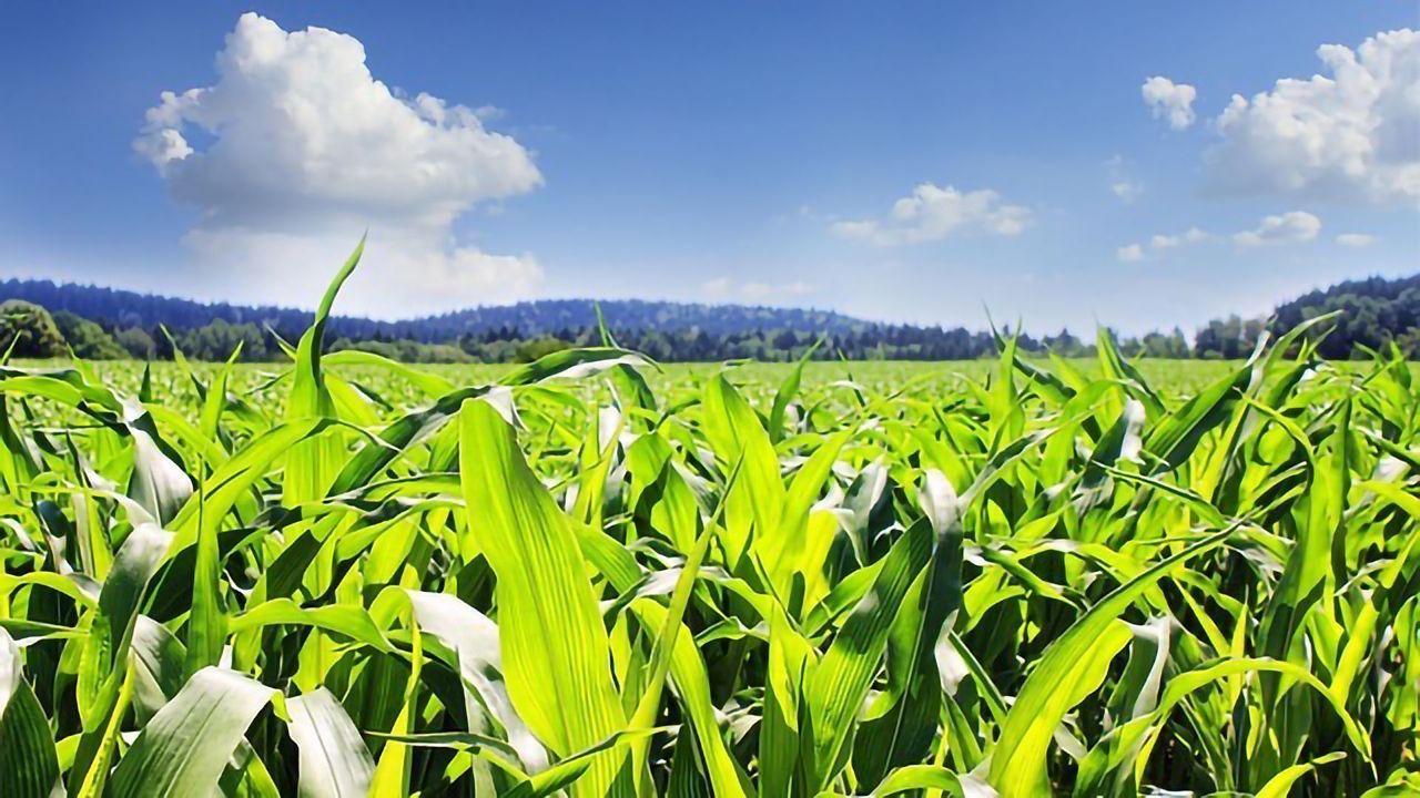 Satellite System Preserves Water Resources for Crops