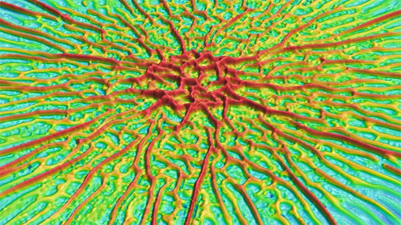 Mapping the Crinkles in Biofilms