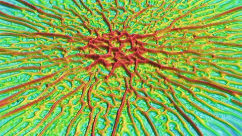 Mapping the Crinkles in Biofilms