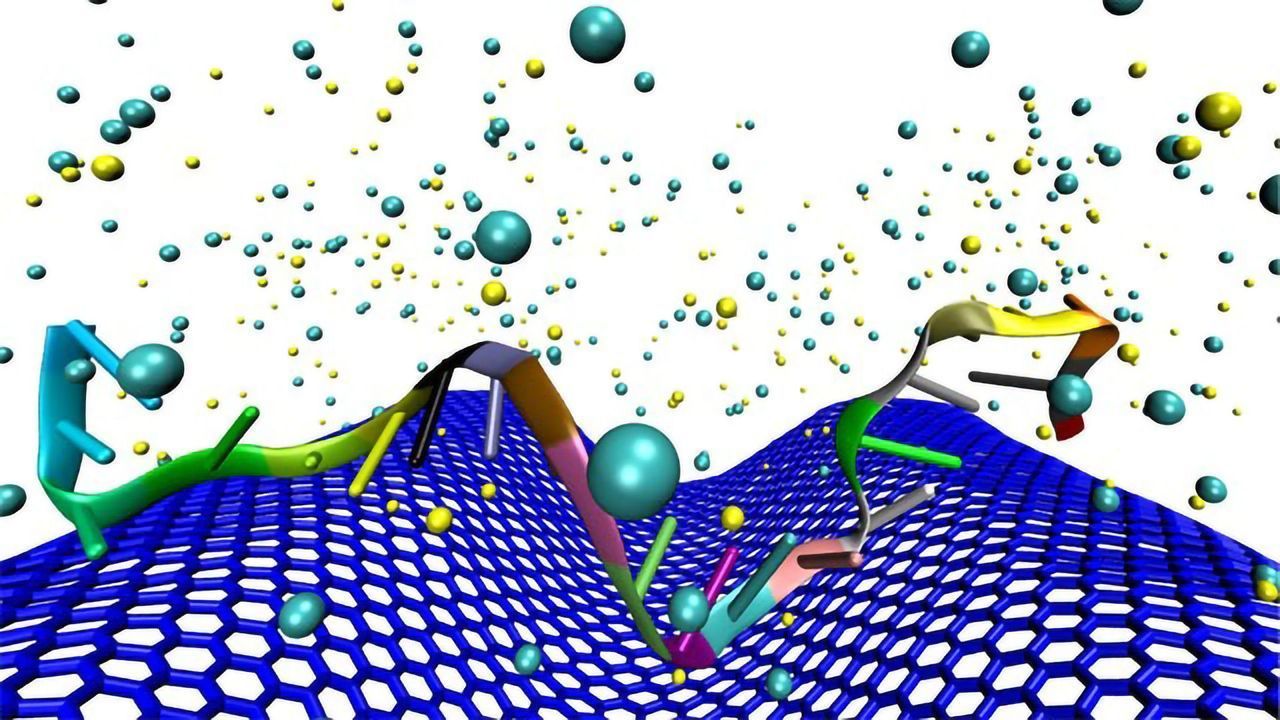 Crumpled Graphene Makes Ultra-sensitive Cancer DNA Detector