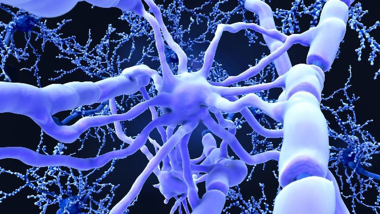 A Fatty Acid's Role in "Chemobrain"
