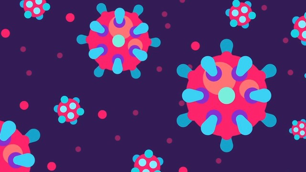 The Coronavirus Explained