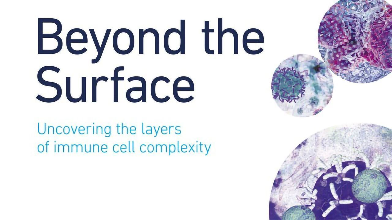 Beyond the Surface - Uncovering the Layers of Immune Cell Complexity
