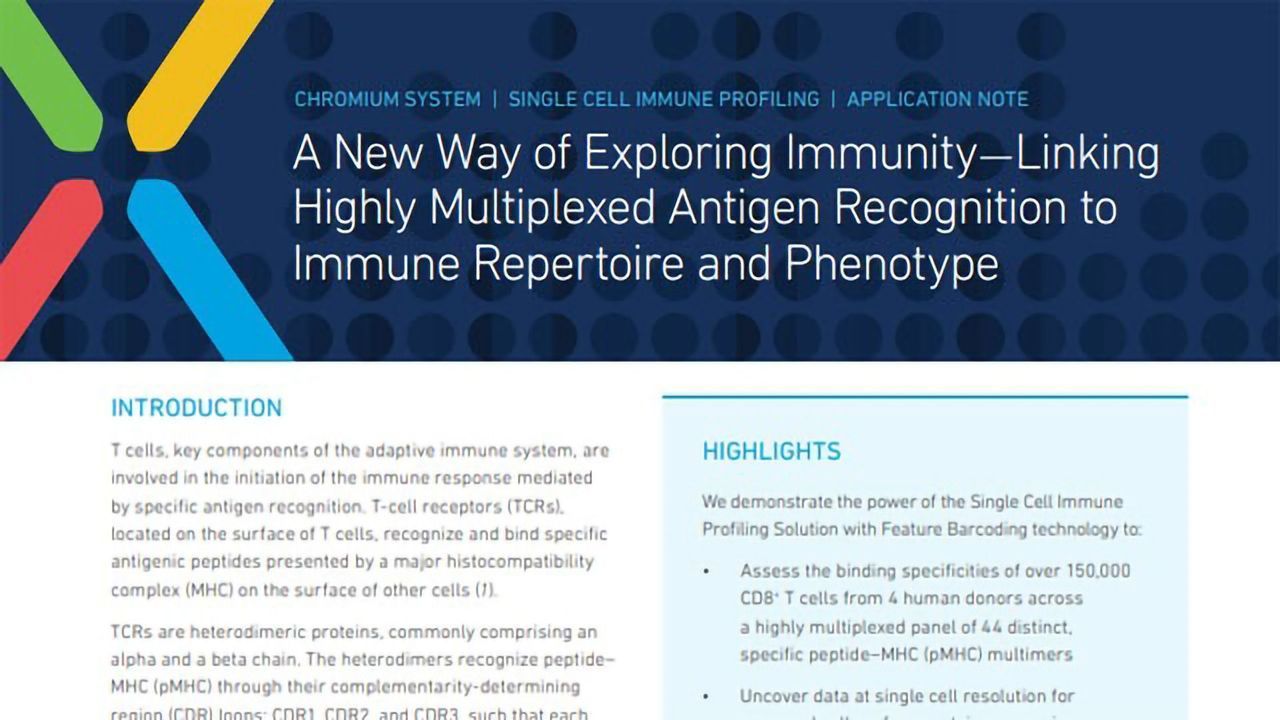 A New Way of Exploring Immunity - Linking Highly Multiplexed Antigen Recognition to Immune Repertoire and Phenotype