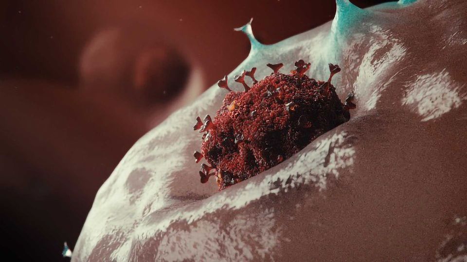 COVID-19 Coronavirus Vaccine: Everything You Need to Know content piece image