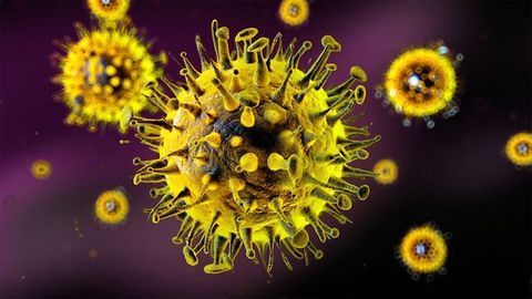 Sartorius Supports the Development of SARS-CoV-2 Vaccine Candidate