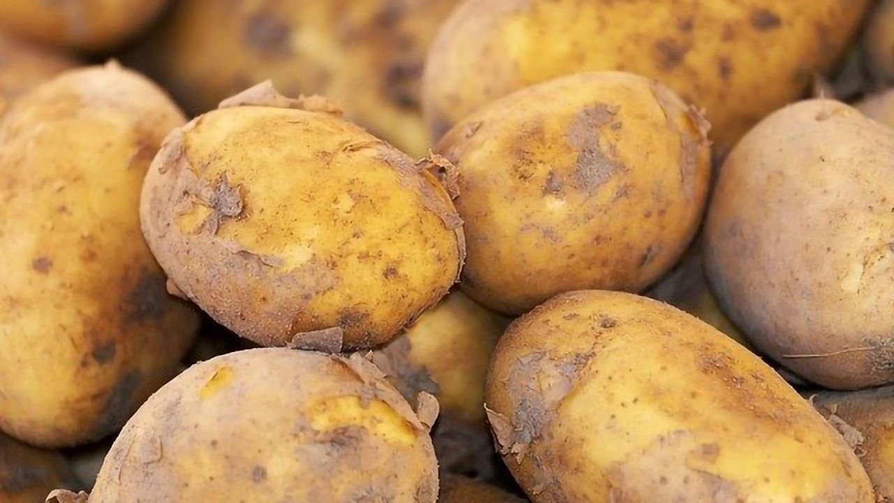 New Partnership to Evaluate Innovative Crop Biocontrol Products