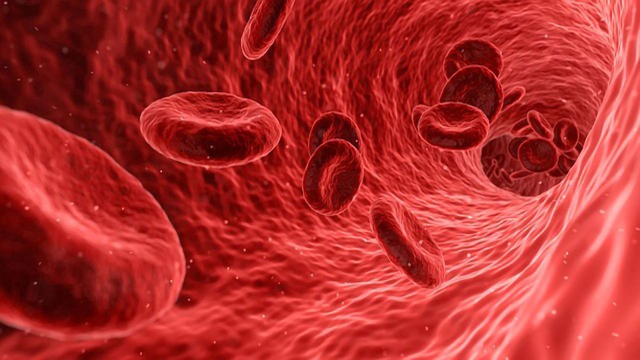 COVID-19: Stopgap Measure Proposed for Respiratory Distress