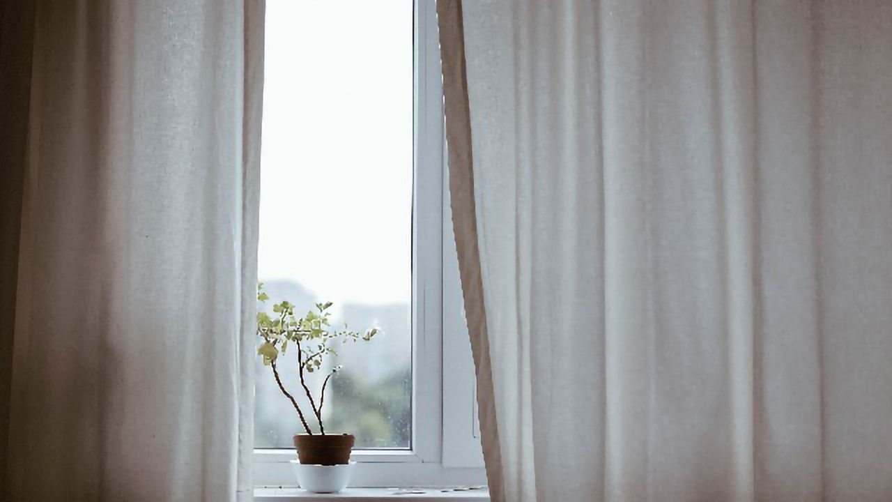 STREAM: Six Strategies That Can Help Your Mental Health During Coronavirus Isolation