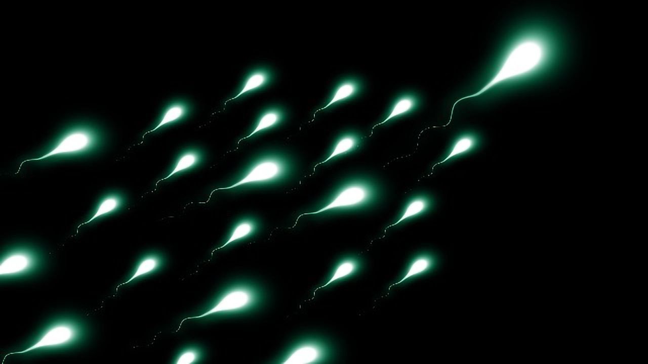 Critical Enzyme Involved in Sperm Formation Identified