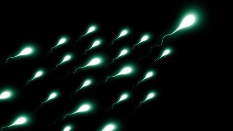Critical Enzyme Involved in Sperm Formation Identified