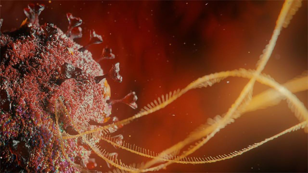 SOPHiA GENETICS and Paragon Genomics Join Forces Against the Coronavirus Pandemic