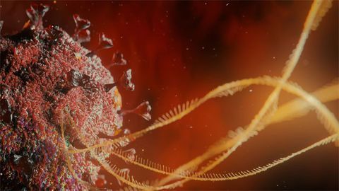 SOPHiA GENETICS and Paragon Genomics Join Forces Against the Coronavirus Pandemic