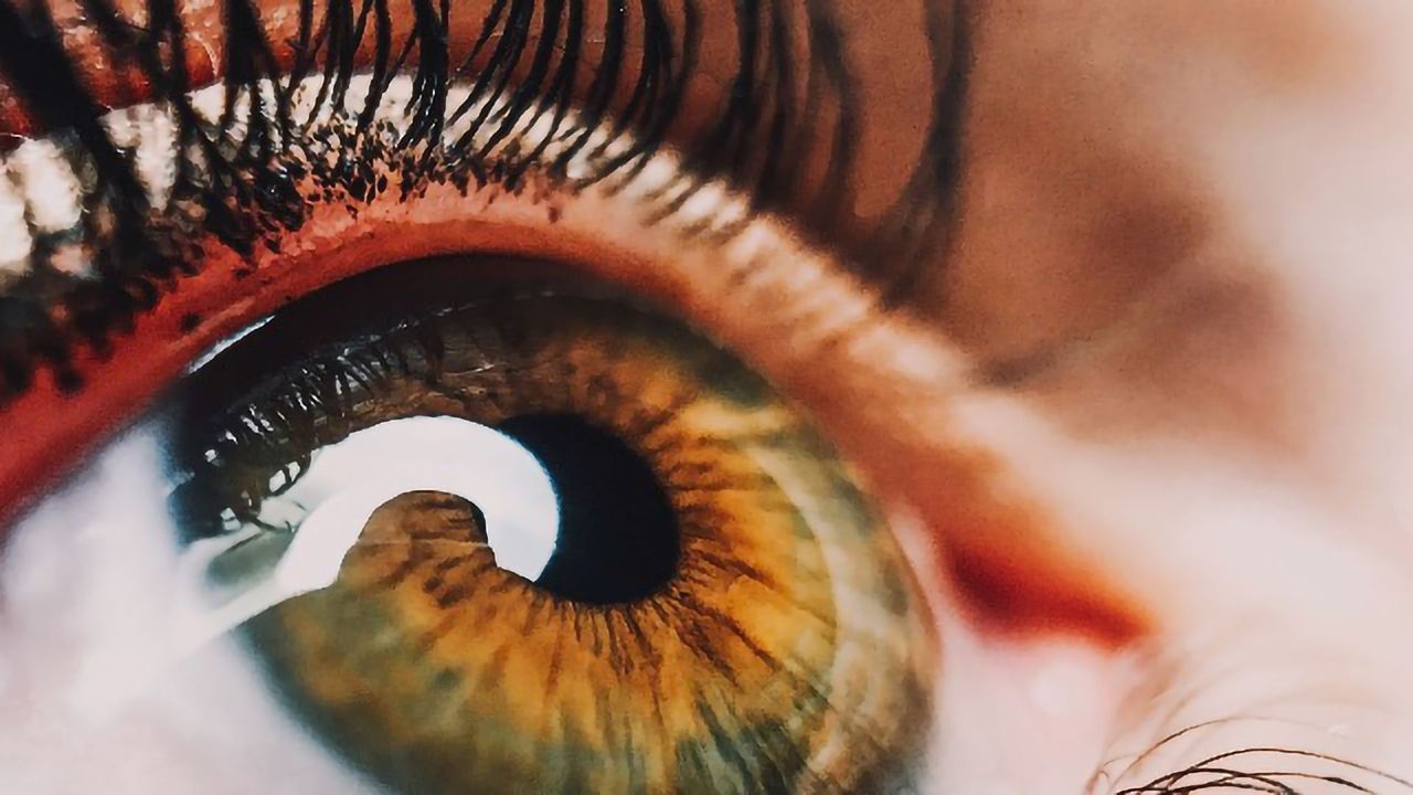 Lipid Helps Heal the Eye