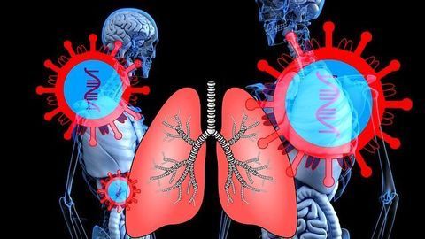 New Immune Cell on the Block During Viral Lung Infections