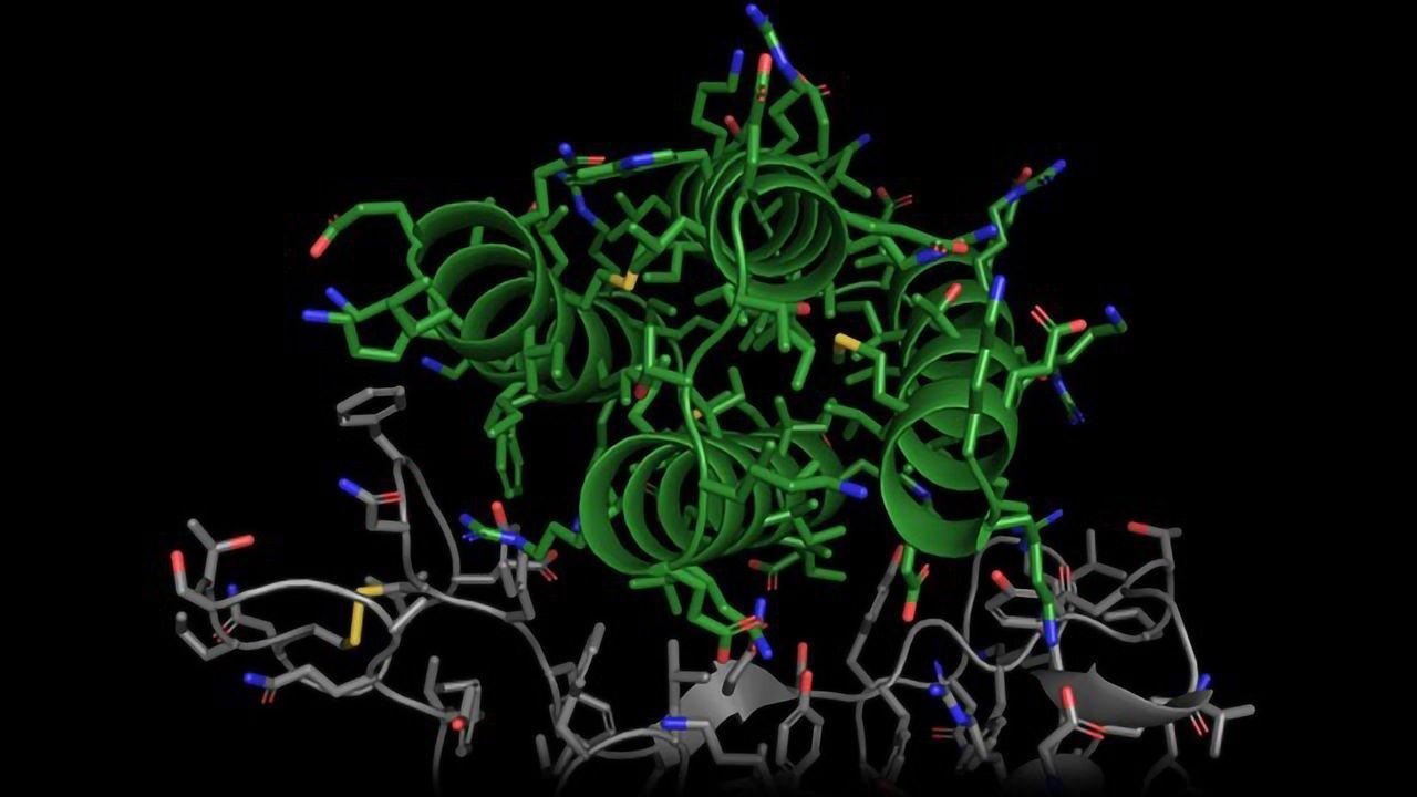 Citizen Scientists Are Helping Design COVID-19 Drugs