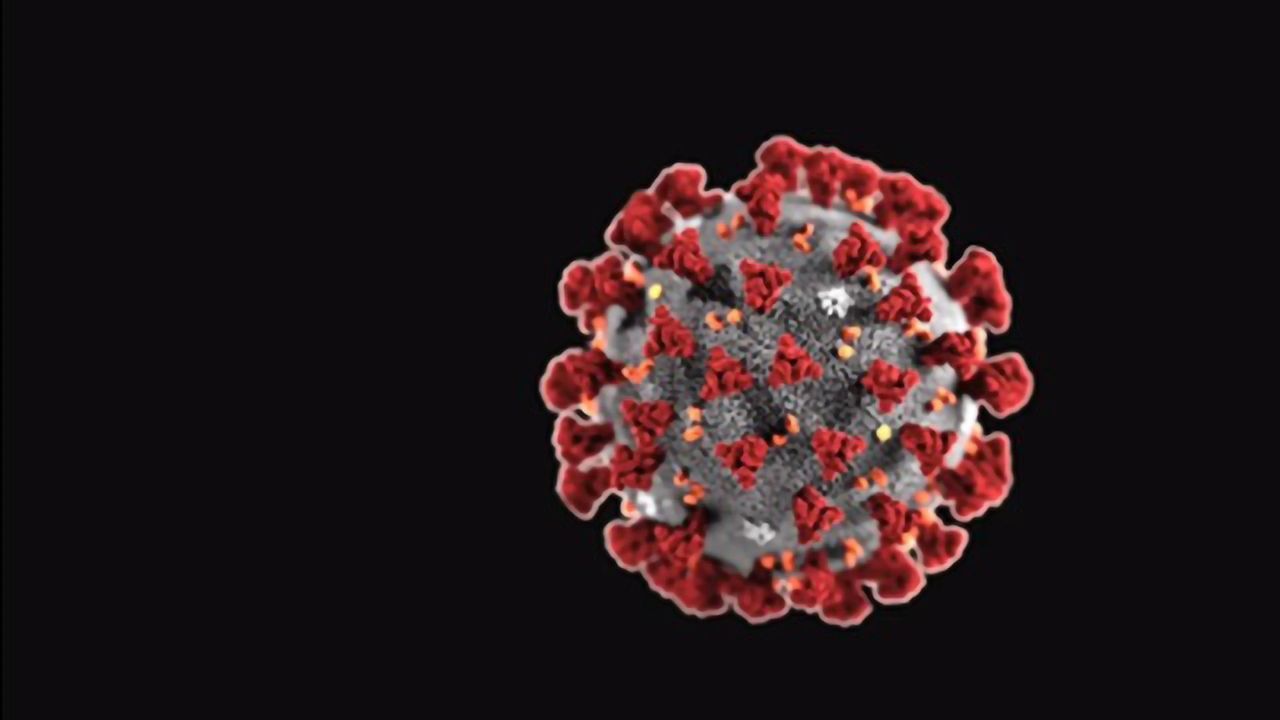 Testing Computer-designed Coronavirus Binding Proteins
