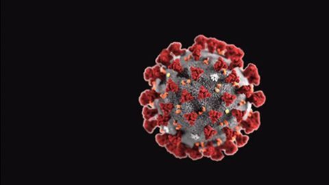Testing Computer-designed Coronavirus Binding Proteins